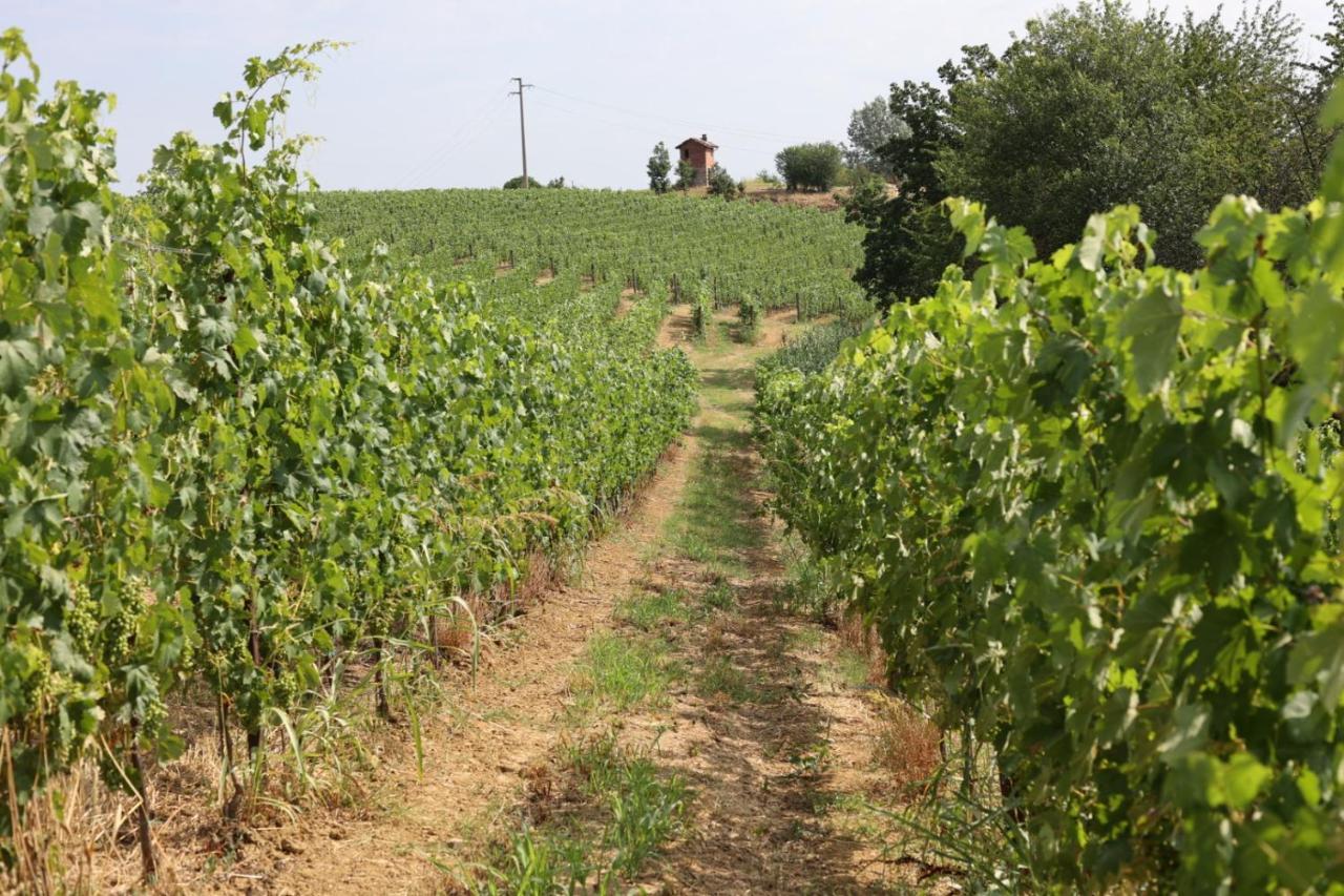 Braida Wine Resort Rocchetta Tanaro 外观 照片