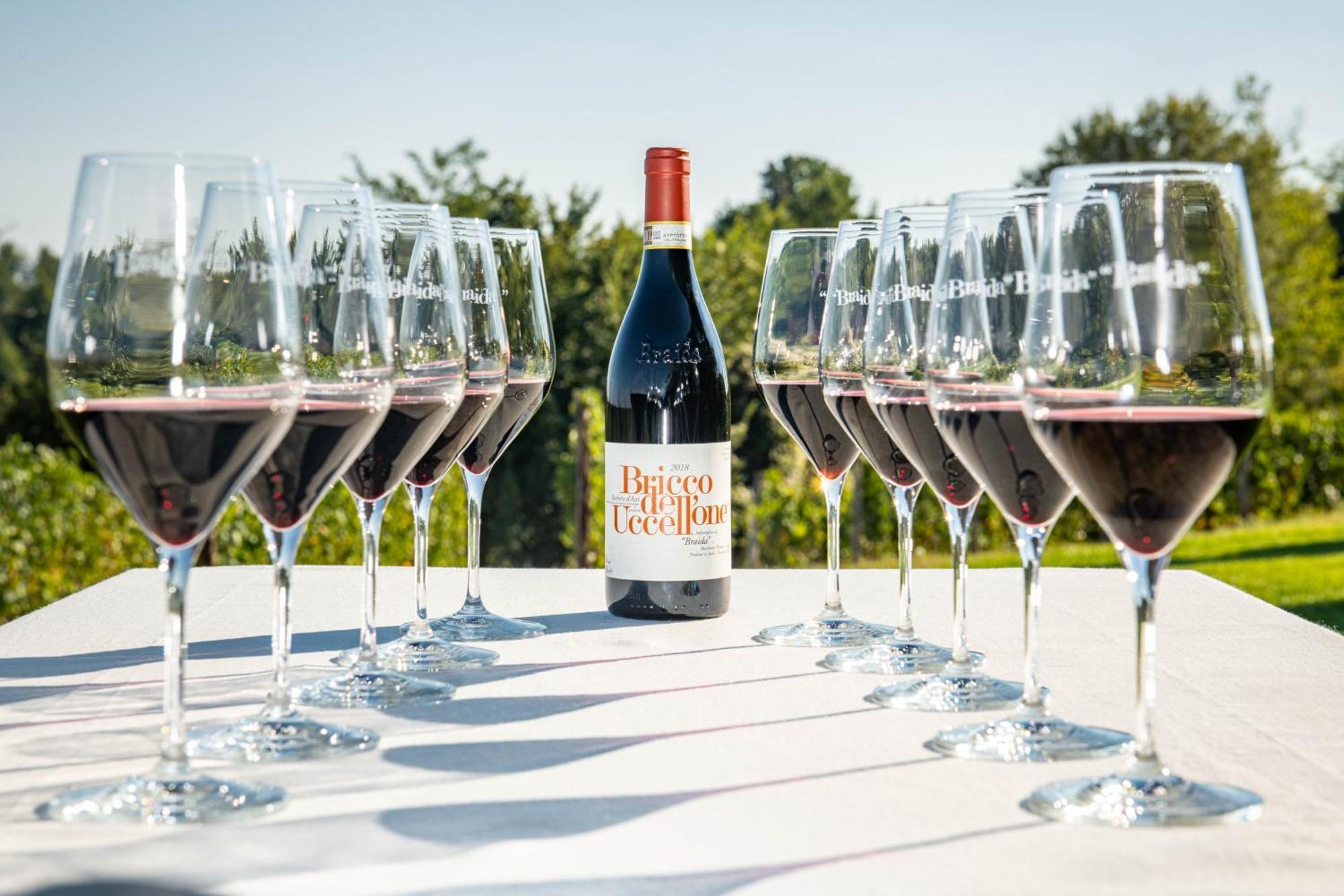 Braida Wine Resort Rocchetta Tanaro 外观 照片