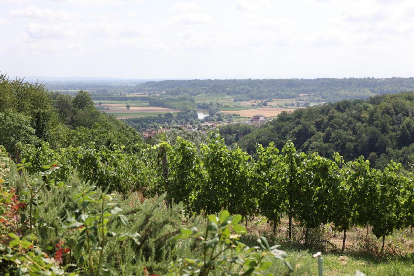 Braida Wine Resort Rocchetta Tanaro 外观 照片